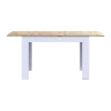 Jídelní stůl Doros Flint Bílý/Dub Artisan 120/170x80x78 (41510130)