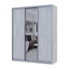 Šatní skříň Doros City Light Borovice Natti 2 DTD / 1 zrcadlo 180×60×225 (80736522)