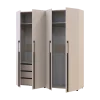 Kleiderschrank mit Schubladen Doros Kasper Kaschmir 2+2 LTD 180 × 50 × 204 cm (42005728)