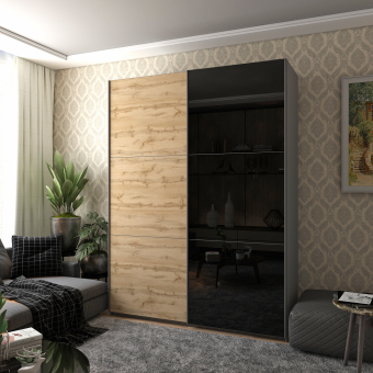 Šatní skříň G-Caiser Grafit/Dub Evok 1 díl / 1 sklo / 3 části DTD 180x60x240 (42005015)