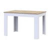 Jídelní stůl Doros Flint Bílý/Dub Artisan 120/170x80x78 (41510130)