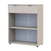Komoda Doros Ron 2 2 dveře 1 zásuvka Kašmír 80 × 38 × 100 (41516044)