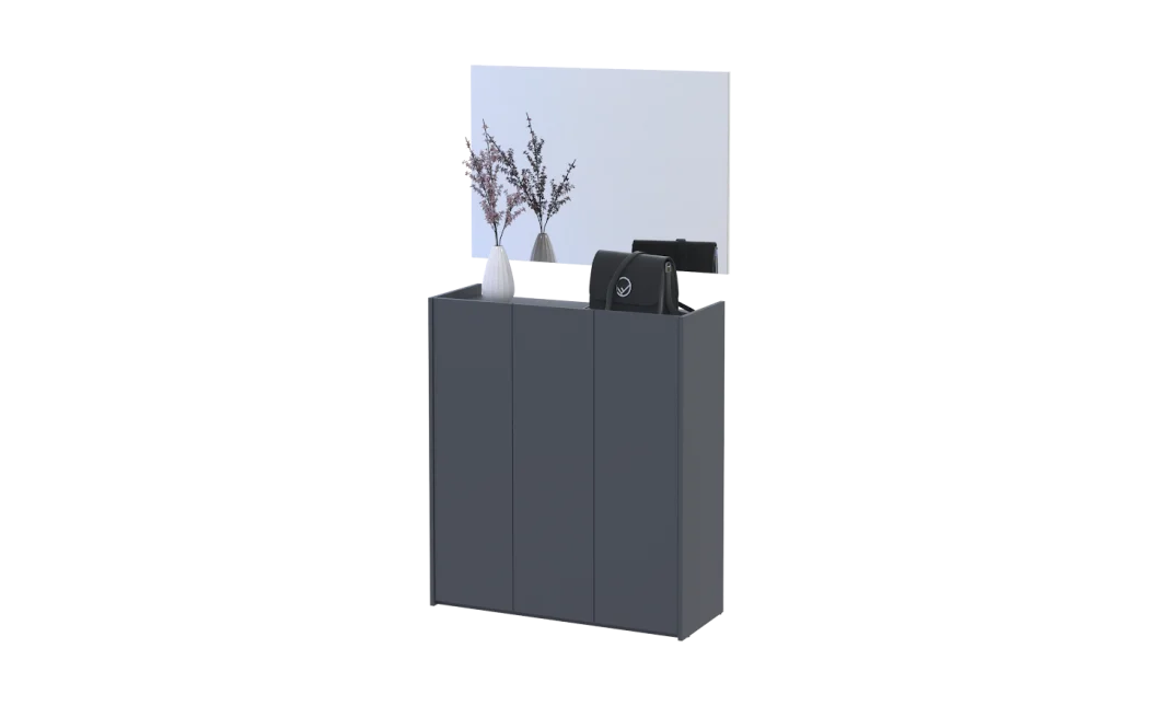 Botník se zrcadlem Doros Kassel Grafit 3 DTD 97×40×110 (42005497)