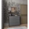 Komoda Doros Dale Grafit 4 zásuvky 90х41х85 (41516236)