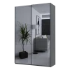 Šatní skříň s posuvnými dveřmi Doros G-Caiser Antracit 2 zrcadla / 3 části 160x60x240 (42005409)